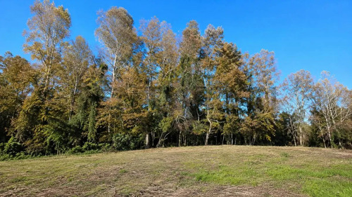 Parcela 5.000m2 | Sector Puquereo | Eje Freire-villarrica