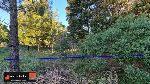 Imagen 4 de 14 de Lote De 400 Mts2 Arenas De Oro V4634 Con Escritura