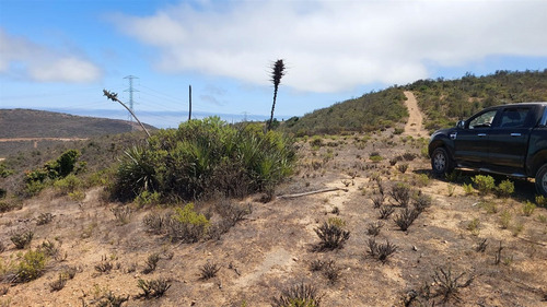 Se Vende Parcela De Agrado De 10.082m2 Pichicuy-huaquen Alto