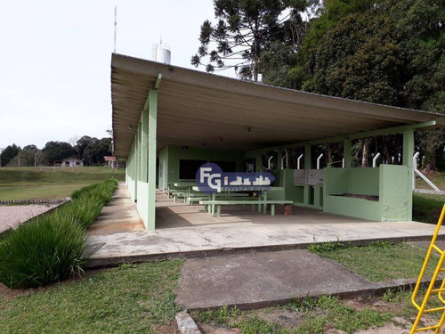 Imagem 24 de 25 de Chácara Com 2 Dormitórios À Venda, 5400 M² Por R$ 319.000,00 - Campestre Da Faxina - São José Dos Pinhais/pr - Ch0013