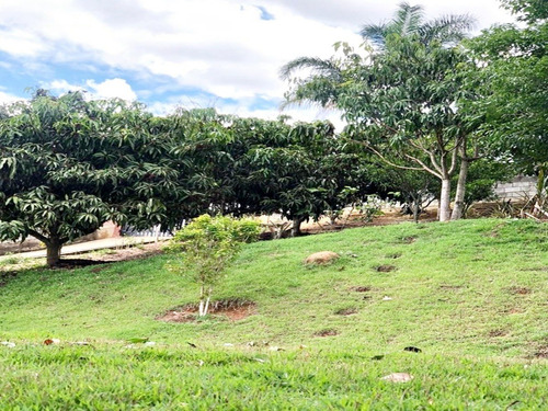 Imagem 17 de 26 de Chácara Com 3 Dormitórios À Venda, 2000 M² Por R$ 520.000 - Parque Alpina - Igaratá/sp