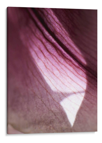 Canvas Lab Cuadro Lily Dusk I 120x160, Jonathan Nourock