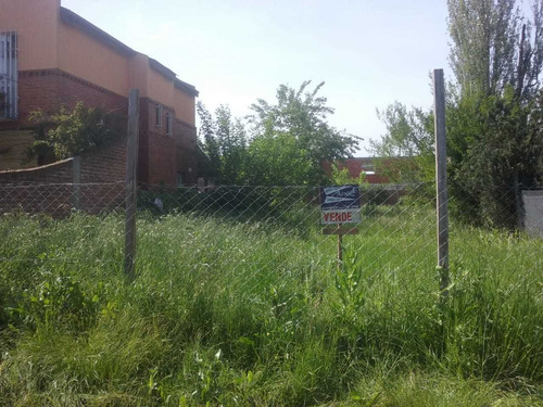 Imagen 4 de 5 de Terreno