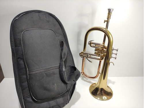 Flugelhorn Dolphin Sib Dourado Completo Com Capa E Bocal