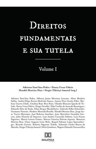 Direitos Fundamentais E Sua Tutela - Volume 1, De Daury Cesar Fa Santana Pedra. Editorial Editora Dialetica, Tapa Blanda En Portugués