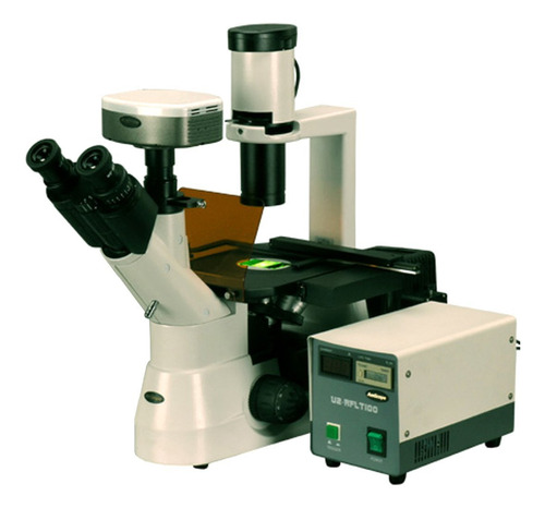 Amscope In300tc-fl-5mf Microscopio Trinocular De Fluorescen.