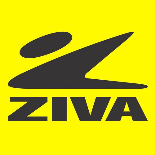 Medicine Ball Ziva 4kg Profesional Textura