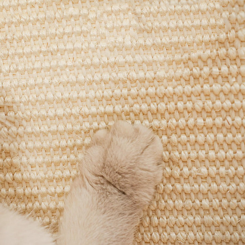 Cat Scratch Mat Juguete Interactivo Sisal Scratching Pad