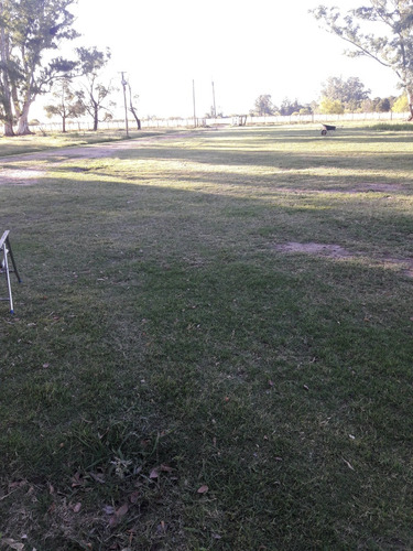 Lote En Pleno Centro De Avellaneda, Ideal Construcción.