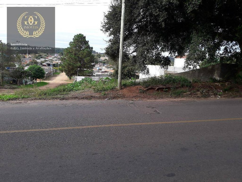Imagem 3 de 13 de Terreno À Venda, 360 M² Por R$ 96.000 - Vila Elsa - Viamão/rs - Te0170