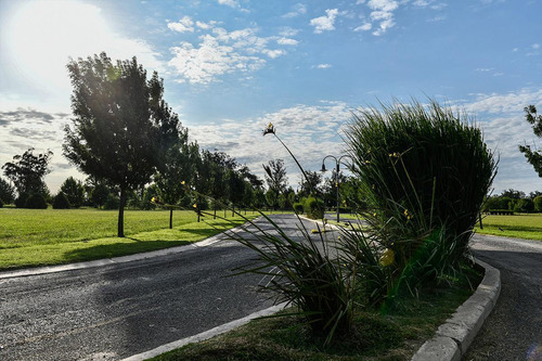 Terreno - Everlinks Golf & Country Club