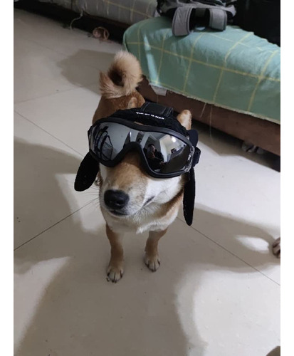 Gorro Para Mascotas, Gorro De Aviador Retro Para Perros, Gor