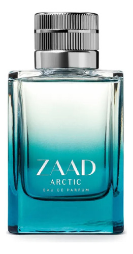 Zaad Arctic Eau De Parfum 95ml Masculino Perfumaria O Boticário