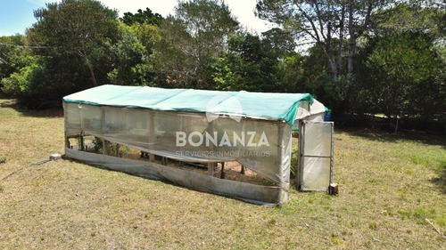 Imagen 3 de 8 de Terreno En Venta Con Mejoras En Piriápolis, Playa Hermosa. Pozo De Agua Semisurgente De Alto Rendimiento.