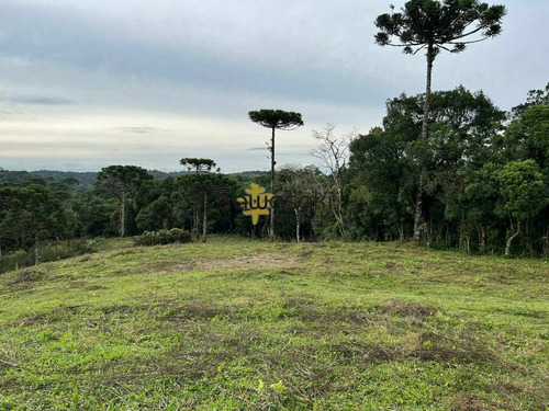 Imagem 2 de 9 de Chácara À Venda No Bairro Colônia Murici - São José Dos Pinhais/pr - 5864