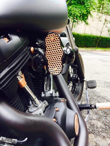 Harley Softail