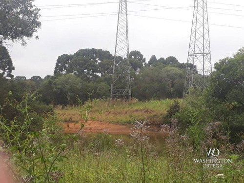 Imagem 5 de 16 de Chácara À Venda, 31000 M² Por R$ 600.000,00 - Cachoeira - São José Dos Pinhais/pr - Ch0066