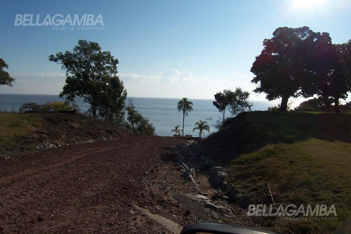 Terreno Venta Barrio De Chacras En Carmelo Uruguay.