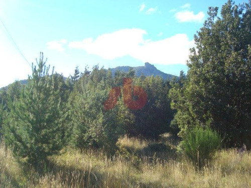 Imagen 2 de 11 de Terreno - Villa Lago Gutierrez