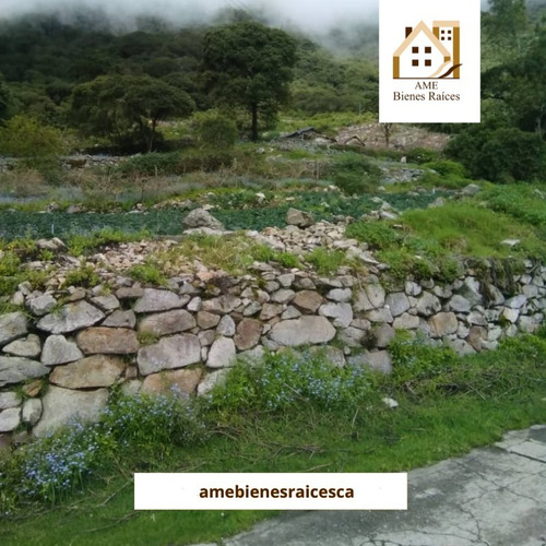 Imagen 5 de 10 de Finca En Alto De Mucuyupu, Timotes Piñango (la Laja)