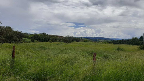 Imagen 2 de 19 de Venta Parcela 3.000mts2 - Calibio Norte Popayan
