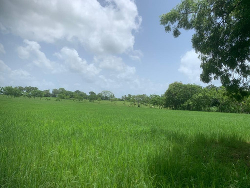 Vendo Finca De 1,440 Tareas A 3 Minutos Del Pueblo Monte Plata, Tiene Casa De Los Propietarios, Con Piscina, Casa De Empleados, Finca Con Sus 200 Cabezas De Ganado, Con Sus Corales, Tractor 