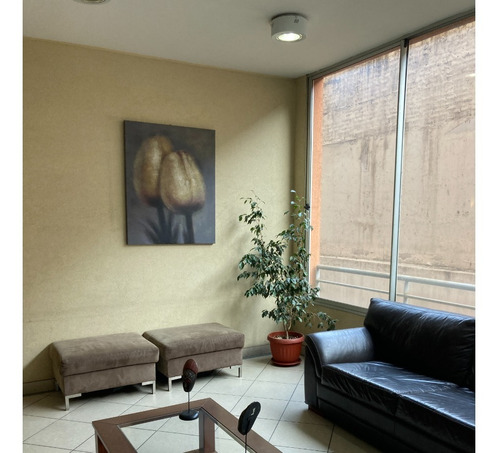 Imagen 4 de 24 de Depto Remodelado Amplio Luminoso 2d - 2b Piso 9 - Recoleta