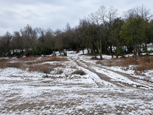 Parcela De 5000m2 Rodeada De Plena Naturaleza En Romeral