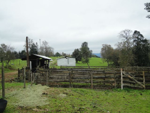 Agrícola En Venta En Paillaco