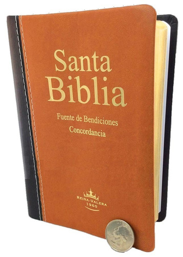 Biblia Reina Valera 1960 Mediana Marrón Y Negro