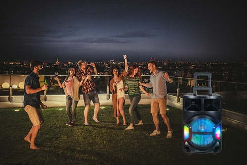 Imagen 5 de 5 de Bocina Bluetooth Portatil 12 Pulgadas Mp3 Usb Sd Microfono