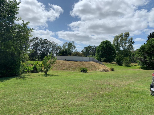 Imagen 9 de 30 de Campo En Venta En Bavio | Ruta 11 E/el Pino Y Km.42 (4,79 Has) Fracc.1