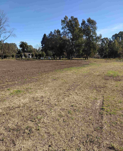 Imagen 5 de 7 de Lote Y Terreno En Venta En Cañuelas 900 M2