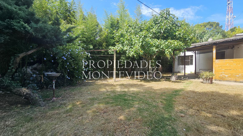 Casa En Venta Con Gran Metraje De Terreno - Carrasco