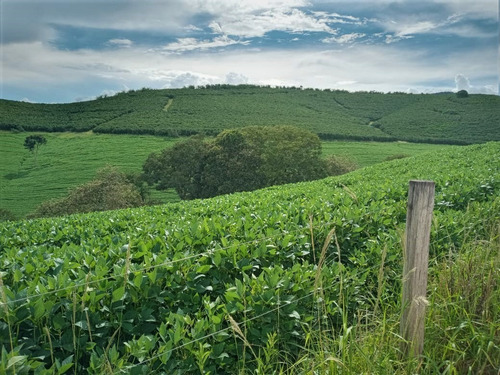 Fazenda A Venda No Sul De Minas Com 470 Ha - Bcp93
