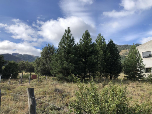 Imagen 5 de 5 de Venta Lote 1000 M2 Mza T2 Alambrado Y Forestado - Lago Meliquina