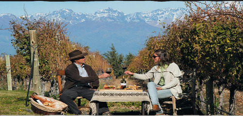 Bodega Y Finca En Venta