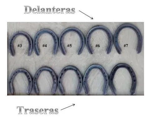 Herraduras Albert #2,3,4,5,6 Y 7.