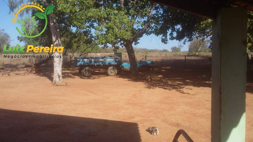 Imagem 8 de 12 de Fazenda À Venda Em Sucupira - T0 - 726 Hectares (dupla Aptidão) - 2016