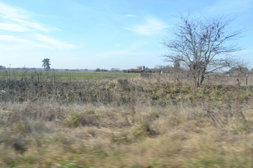 Imagen 5 de 13 de Campo En Venta En Cañuelas Sobre Ruta 6 , Km 99