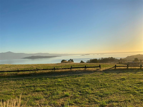 Espectacular Parcela Con Vista Al Lago Puerto Guarda Futrono