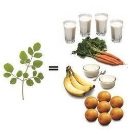 1/2 Kilo De Hoja Pura De Moringa Oleifera Codigo 885-b