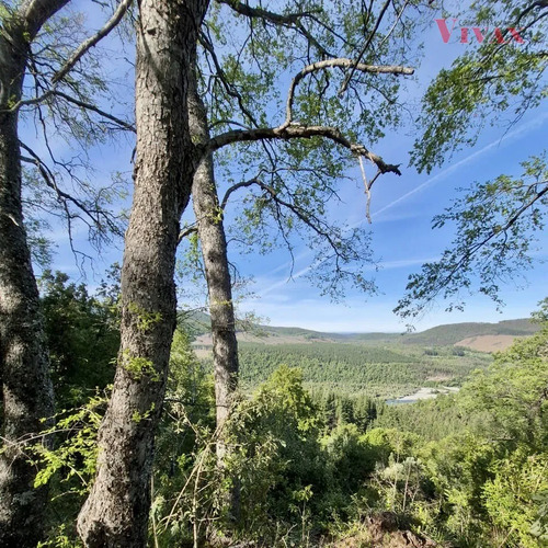 Vendo Hermosos Sitios Sector El Pajal A 63 Km De Los Angeles