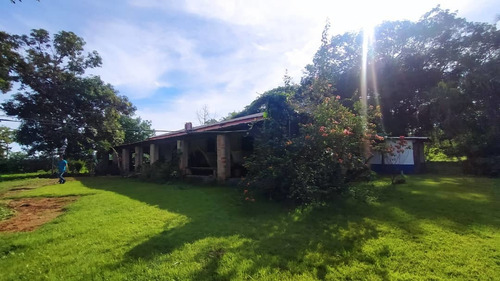 Imagen 7 de 12 de Finca Agropecuaria En Guanare, Portuguesa En Venta