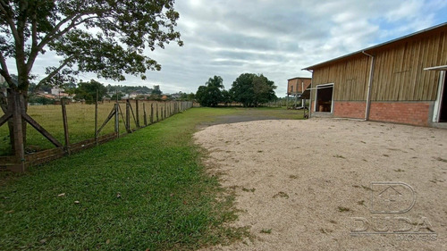 Imagem 3 de 15 de Pavilhao - Vila Manaus - Ref: 37482 - V-37479