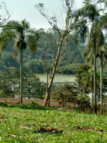 Imagem 16 de 16 de Terreno A Venda No Itaquaciara/mombaça - Te00009 - 32420434
