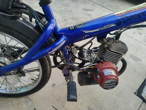 Caloi