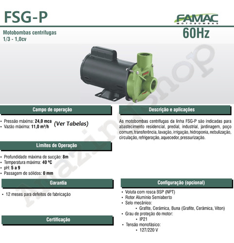 Motobomba Centrífuga Água Limpa Fsg-p 1cv Motor Weg Famac