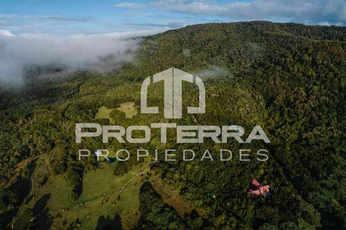 Parcela Con Bosque Nativo En Reserva Costera-valdivia