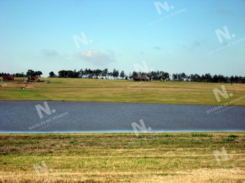 Imagen 15 de 22 de 50 Metros De Costa, Acepta Financiacion Sin Interes, Venta, Chacra, Punta Del Este, Uruguay, Laguna De Los Cisnes - Punta Ballena Laguna De Los Cisnes